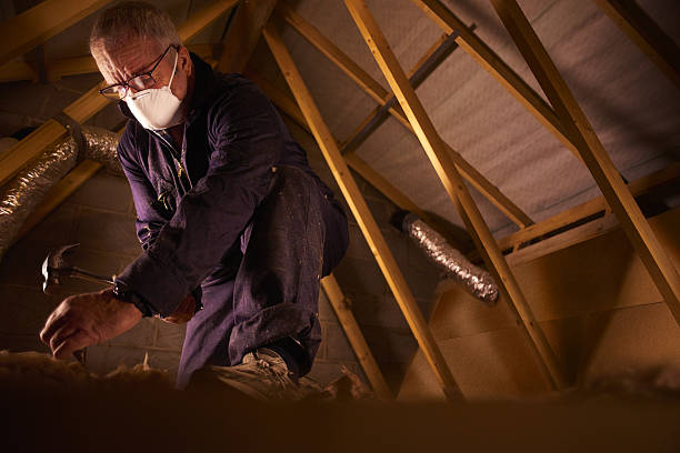 Best Commercial Insulation in Hayneville, AL